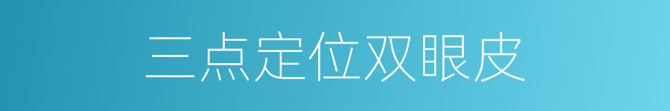 三点定位双眼皮的同义词