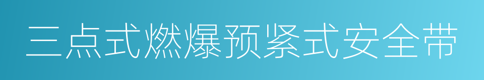 三点式燃爆预紧式安全带的同义词