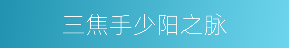 三焦手少阳之脉的同义词