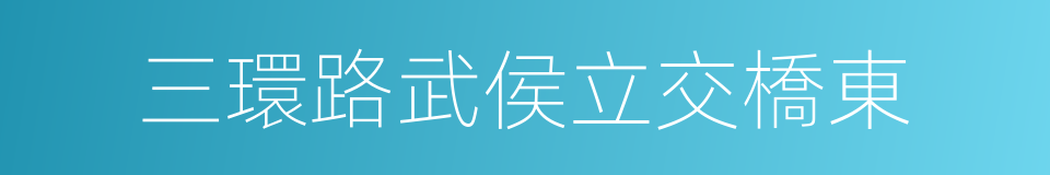 三環路武侯立交橋東的同義詞