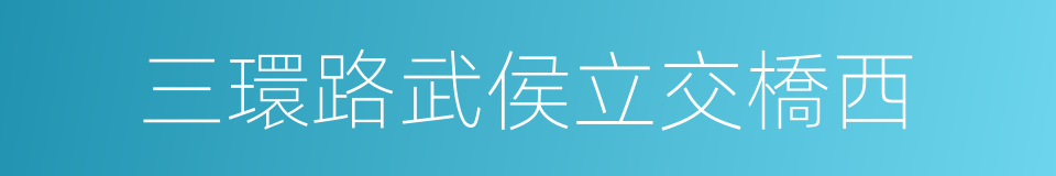 三環路武侯立交橋西的同義詞