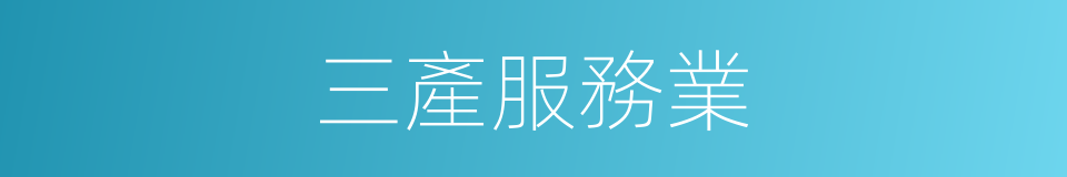 三產服務業的同義詞