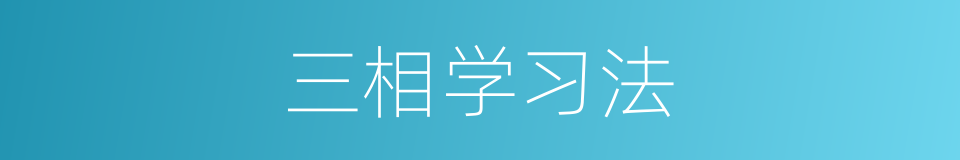 三相学习法的同义词