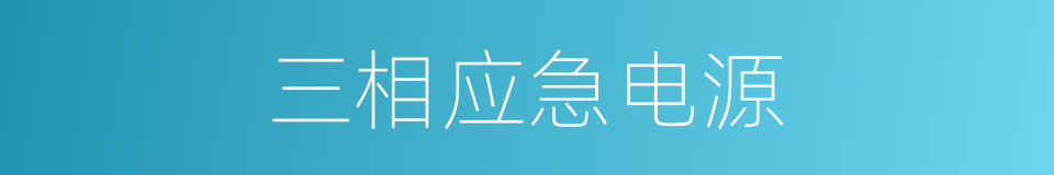 三相应急电源的同义词