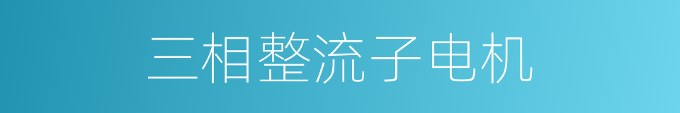 三相整流子电机的同义词