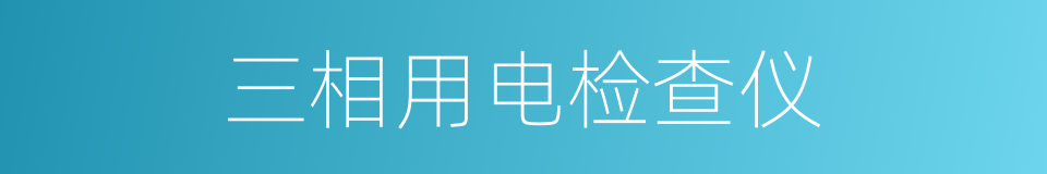 三相用电检查仪的同义词