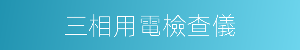 三相用電檢查儀的同義詞