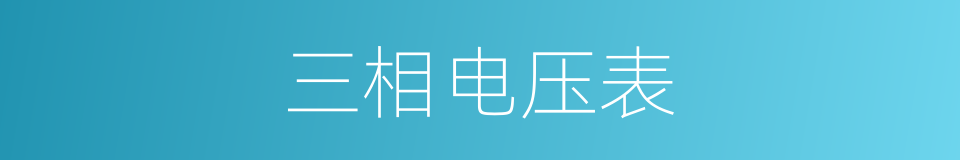 三相电压表的同义词