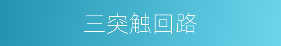 三突触回路的同义词
