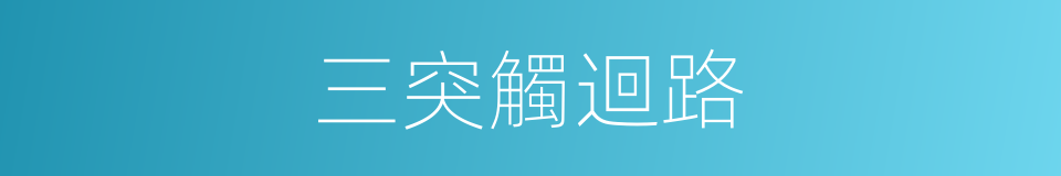 三突觸迴路的同義詞