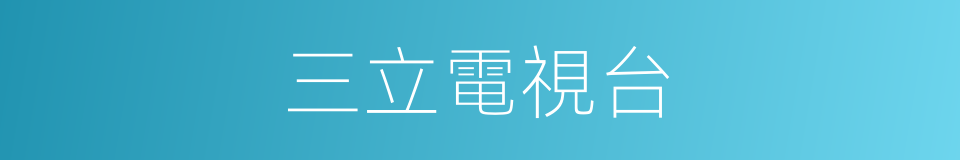 三立電視台的同義詞