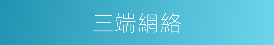 三端網絡的同義詞