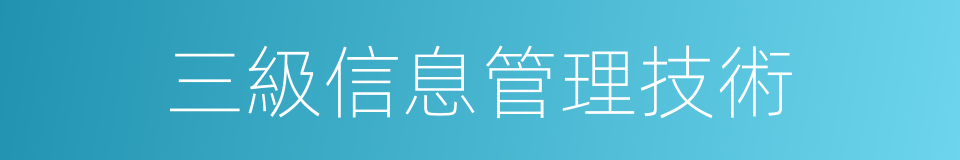 三級信息管理技術的同義詞