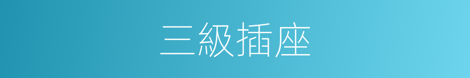 三級插座的同義詞