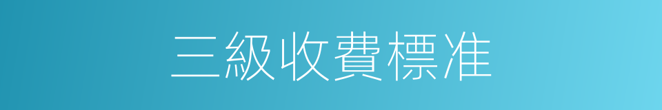 三級收費標准的同義詞
