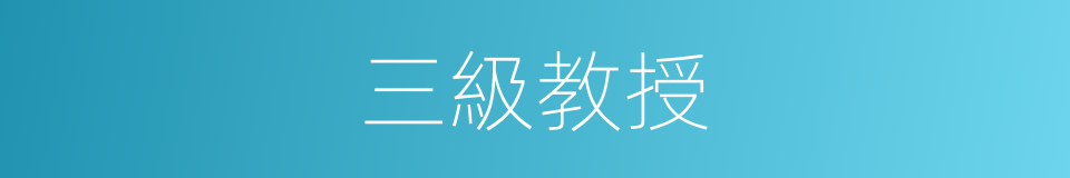 三級教授的同義詞