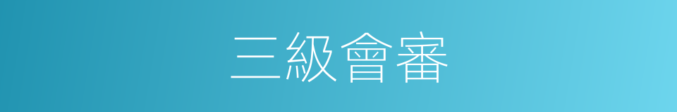 三級會審的同義詞