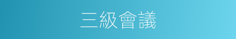 三級會議的同義詞