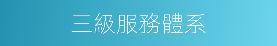 三級服務體系的同義詞