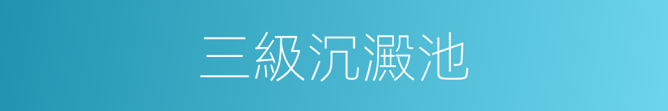 三級沉澱池的同義詞