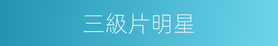 三級片明星的同義詞