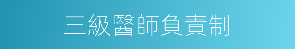三級醫師負責制的同義詞
