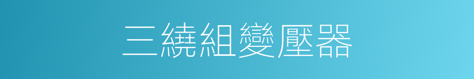 三繞組變壓器的同義詞