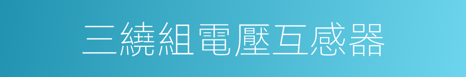 三繞組電壓互感器的同義詞