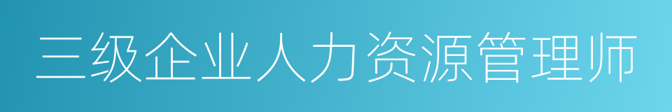 三级企业人力资源管理师的同义词