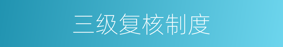 三级复核制度的同义词