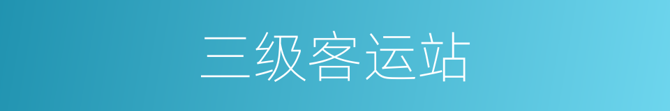三级客运站的同义词