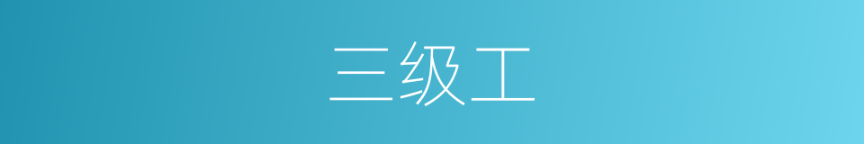 三级工的同义词