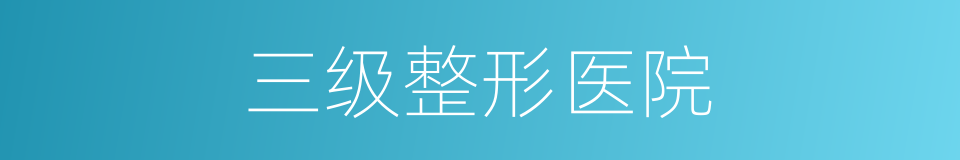 三级整形医院的同义词
