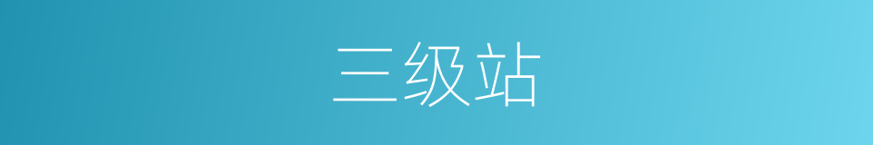 三级站的同义词