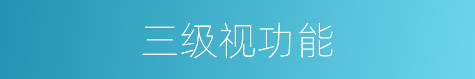 三级视功能的同义词