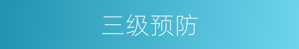 三级预防的同义词