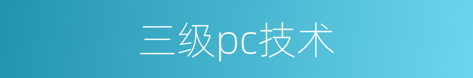 三级pc技术的同义词