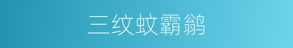 三纹蚊霸鹟的同义词