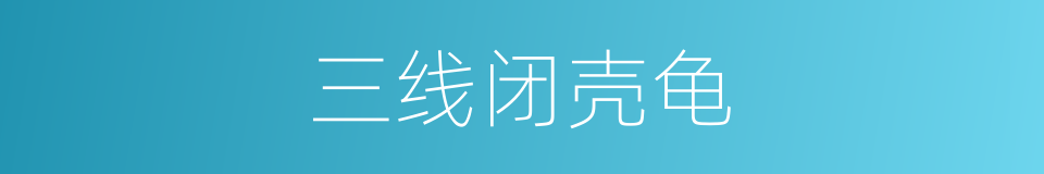 三线闭壳龟的同义词