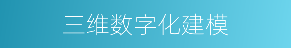 三维数字化建模的同义词