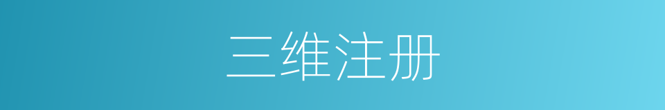 三维注册的同义词
