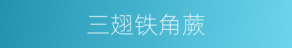 三翅铁角蕨的同义词