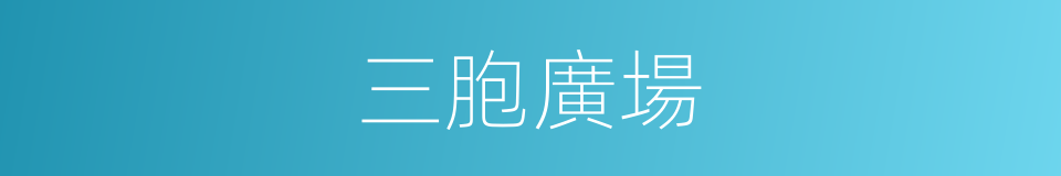 三胞廣場的同義詞