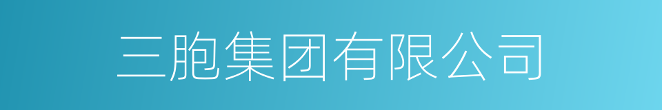 三胞集团有限公司的同义词