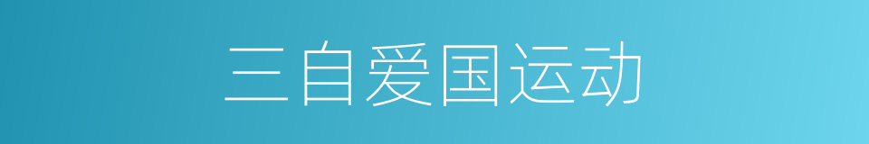 三自爱国运动的同义词