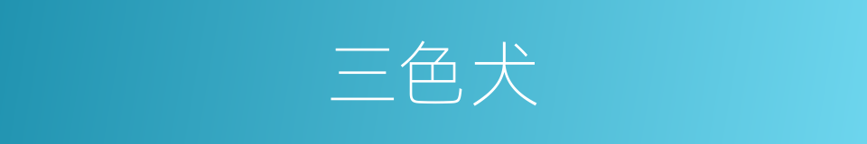 三色犬的同义词