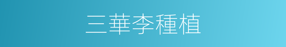 三華李種植的同義詞