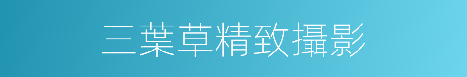 三葉草精致攝影的同義詞