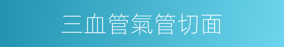 三血管氣管切面的同義詞
