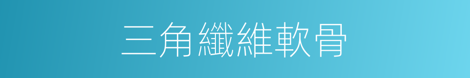 三角纖維軟骨的同義詞